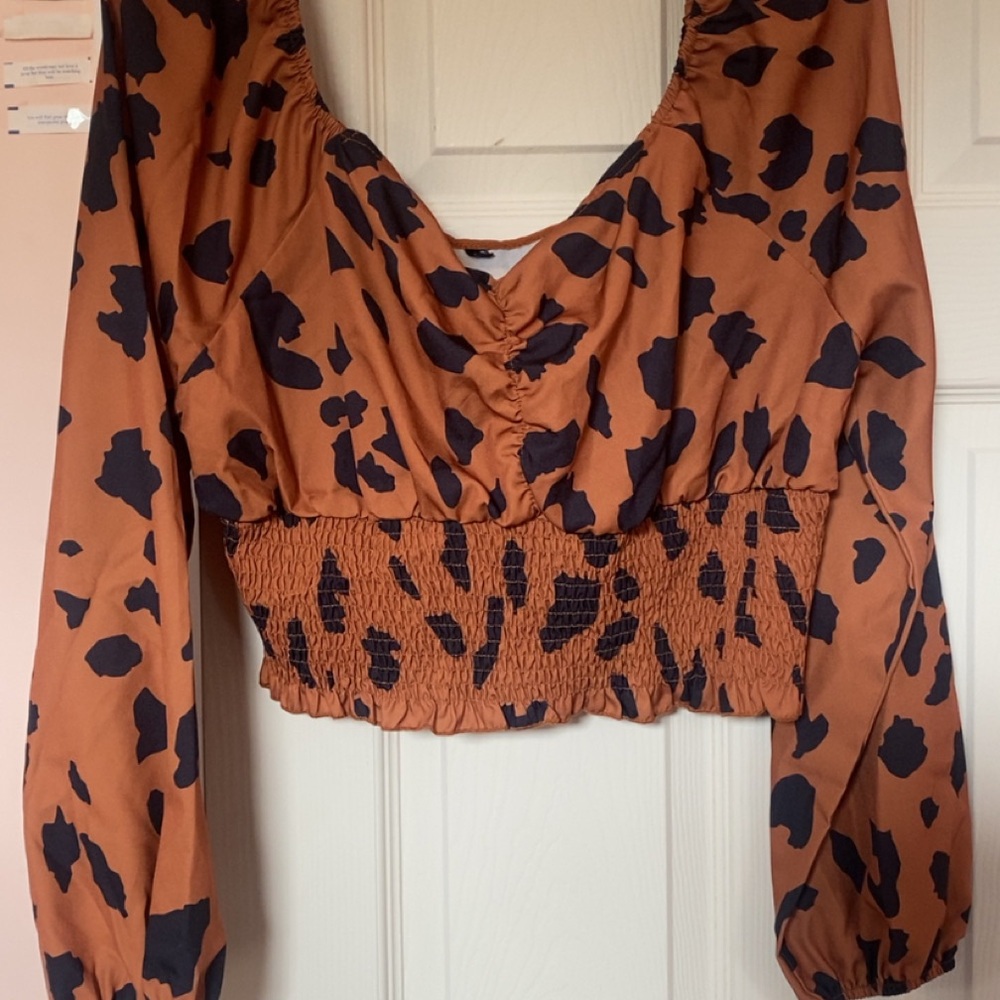 H&M Orange Crop Top with Ruched V-Neck and Billowy Sleeves